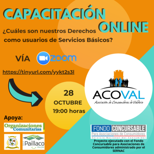 ¡PARTICIPA! en nuestro 2° taller on line “Derechos en Servicios Básicos”