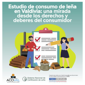 Estudio leña Valdivia. Una mirada de los derechos y deberes del consumidor 