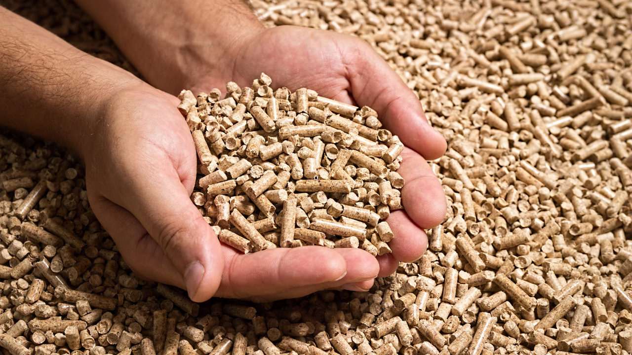 Disponible estudio sobre producción, comercialización y consumo de pellet en Valdivia
