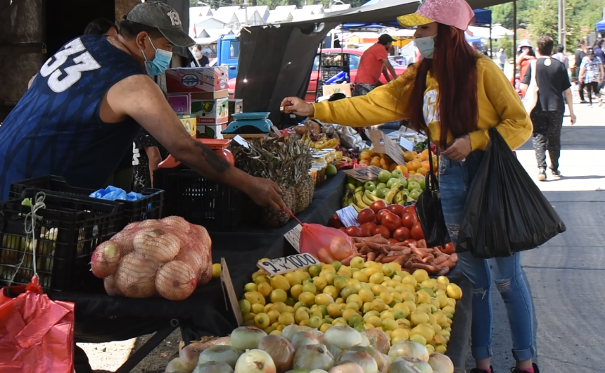 Disponible estudio sobre consumo en ferias libre en Valdivia y su relación con los derechos y deberes del consumidor